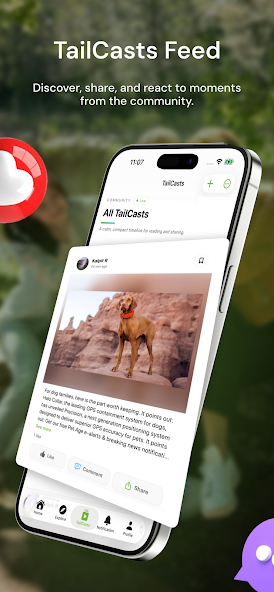 TailCasts Feed